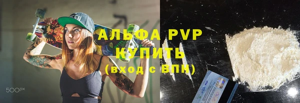 гидра Богданович