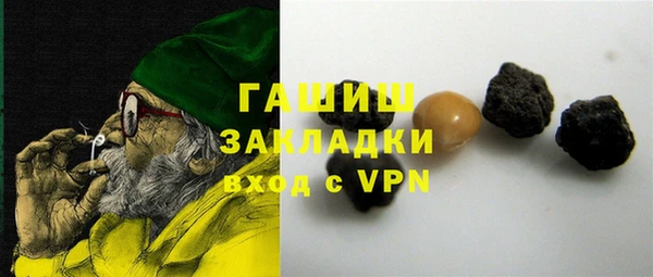гидра Богданович