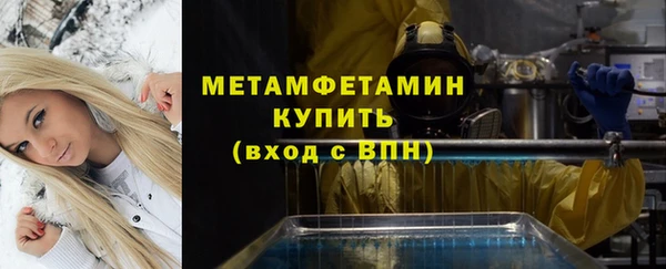 гидра Богданович