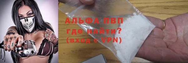 гидра Богданович