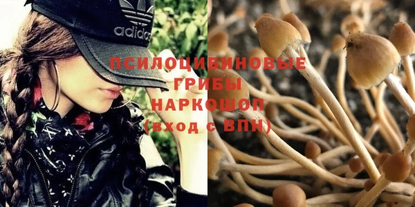 марки lsd Богородск