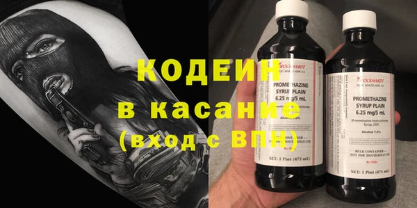 гидра Богданович